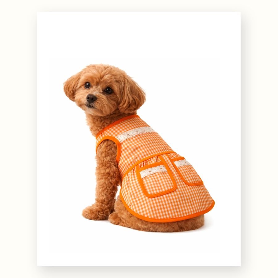 Dog Apron