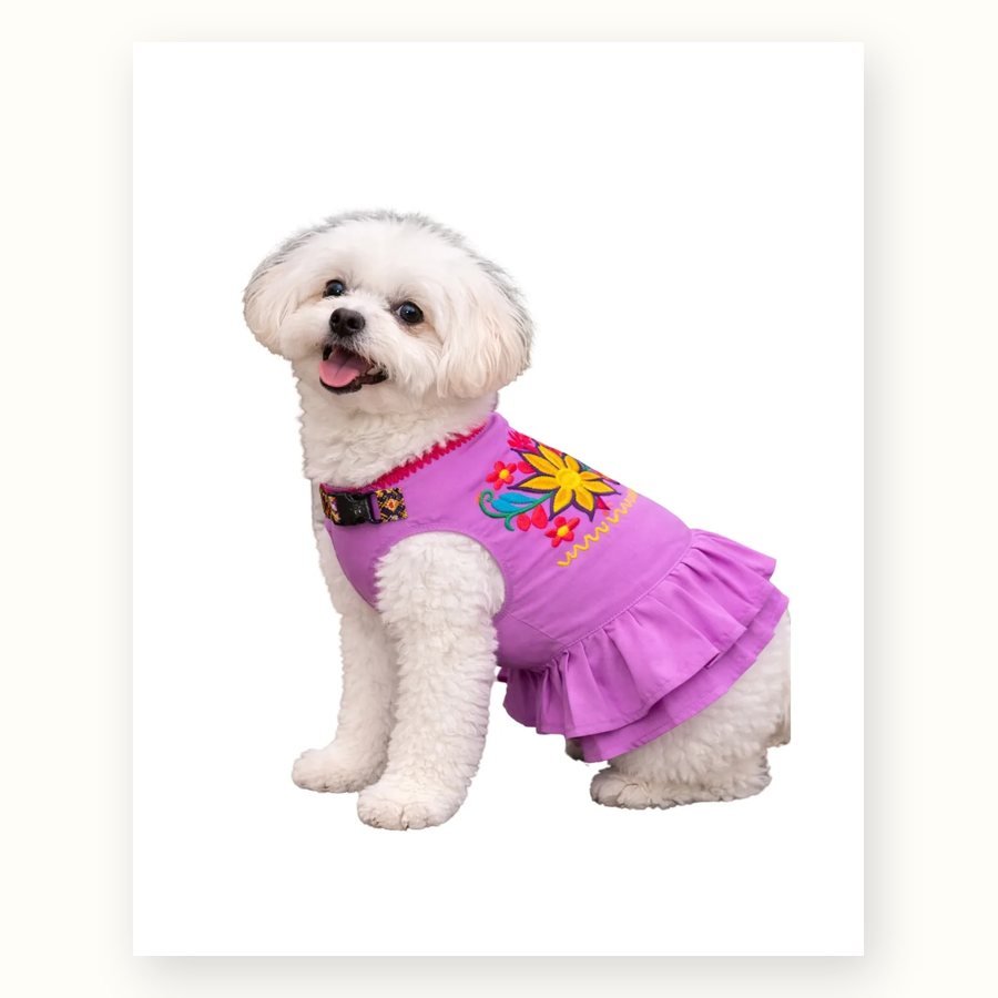 Dog Dress