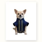 Dog Guayabera Shirts