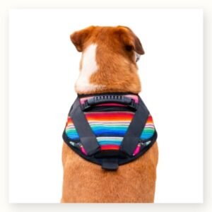 Dog Harness model 2