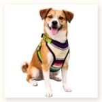 Fabric Chest Harness