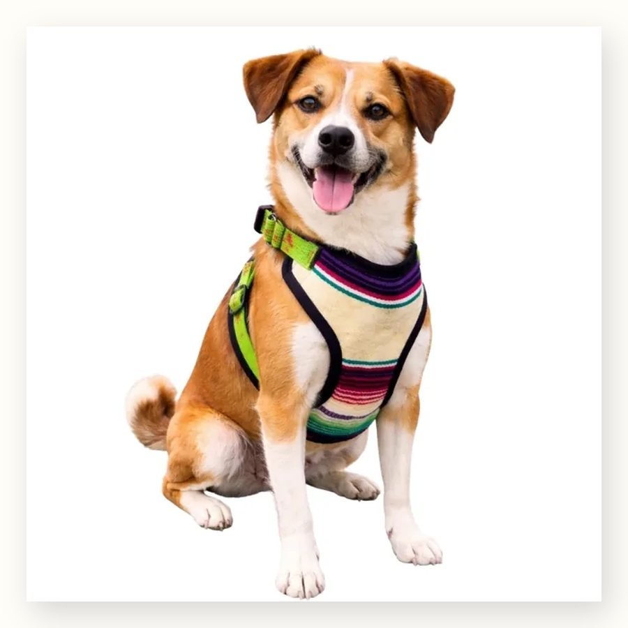 Fabric Chest Harness