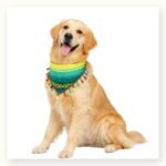 Perriacates Dog Bandanas