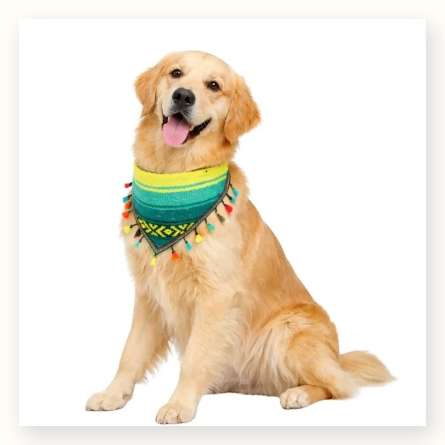 Perriacates Dog Bandanas